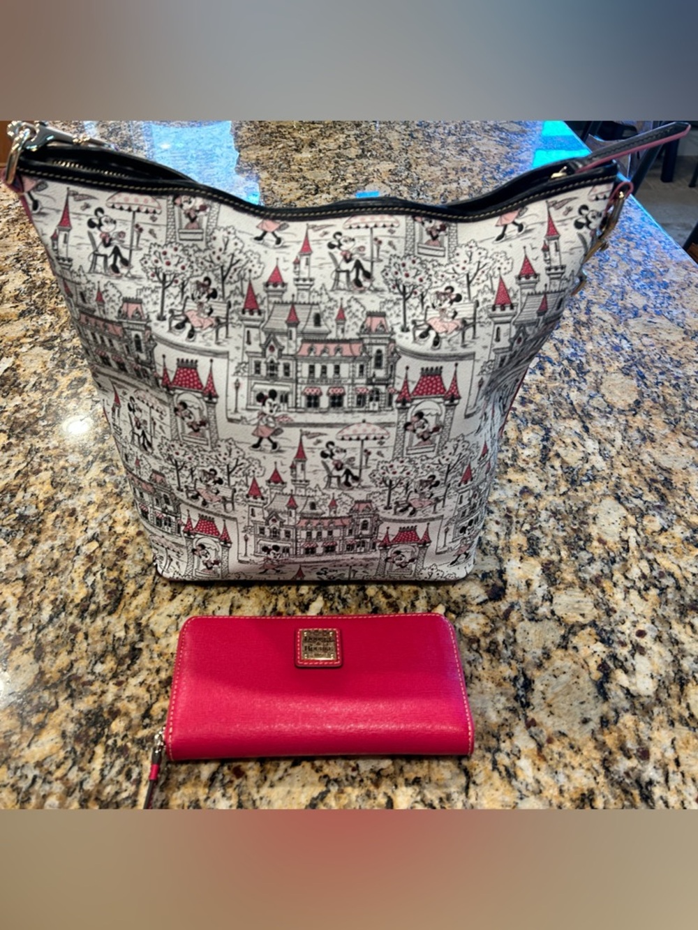 Dooney & Bourke Disney “Minnie in the Park” Hobo Bag AND Coordinating Wallet Set - Picture 3 of 16